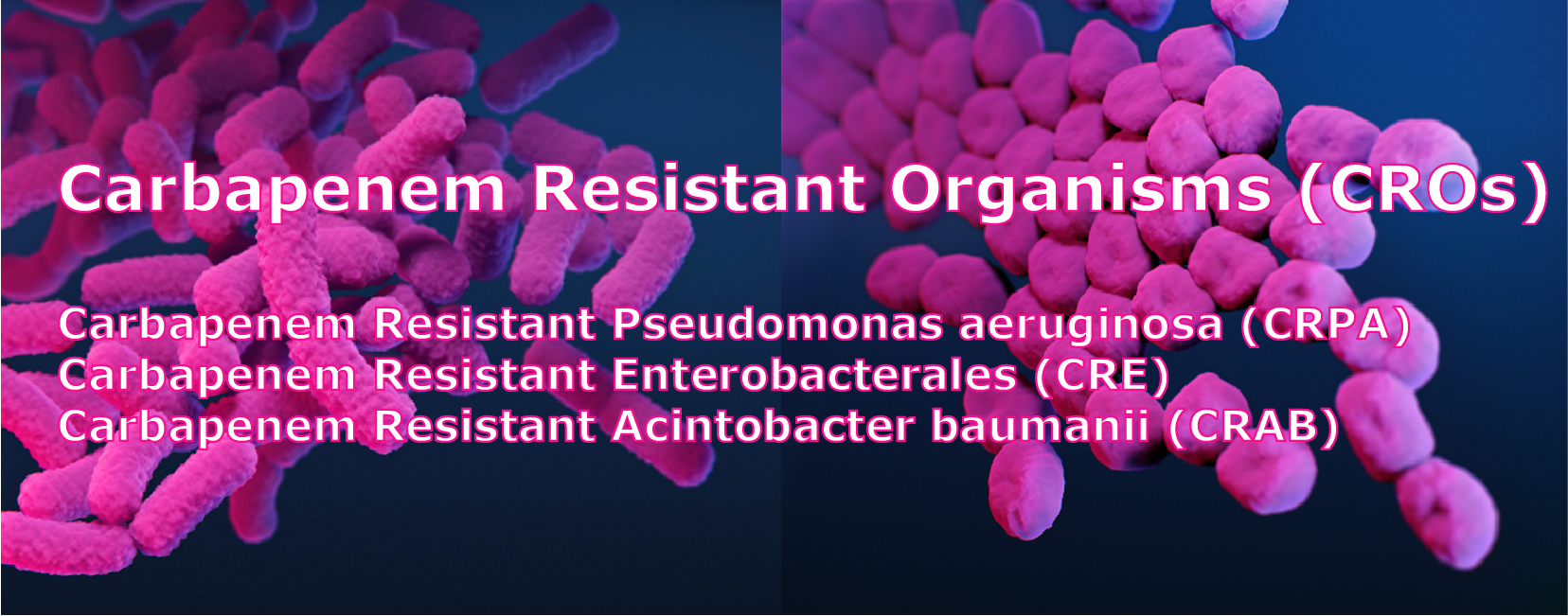 "Carbapenem Resistant Organisms (CROs) Carbapenem Resistant Pseudomonas aeruginosa (CRPA) Carbapenem Resistant Enterobacterales (CRE) Carbapenem Resistant Acintobacter baumanii (CRAB)"