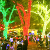 tree lights thumbnail