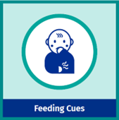 Feeding Cues