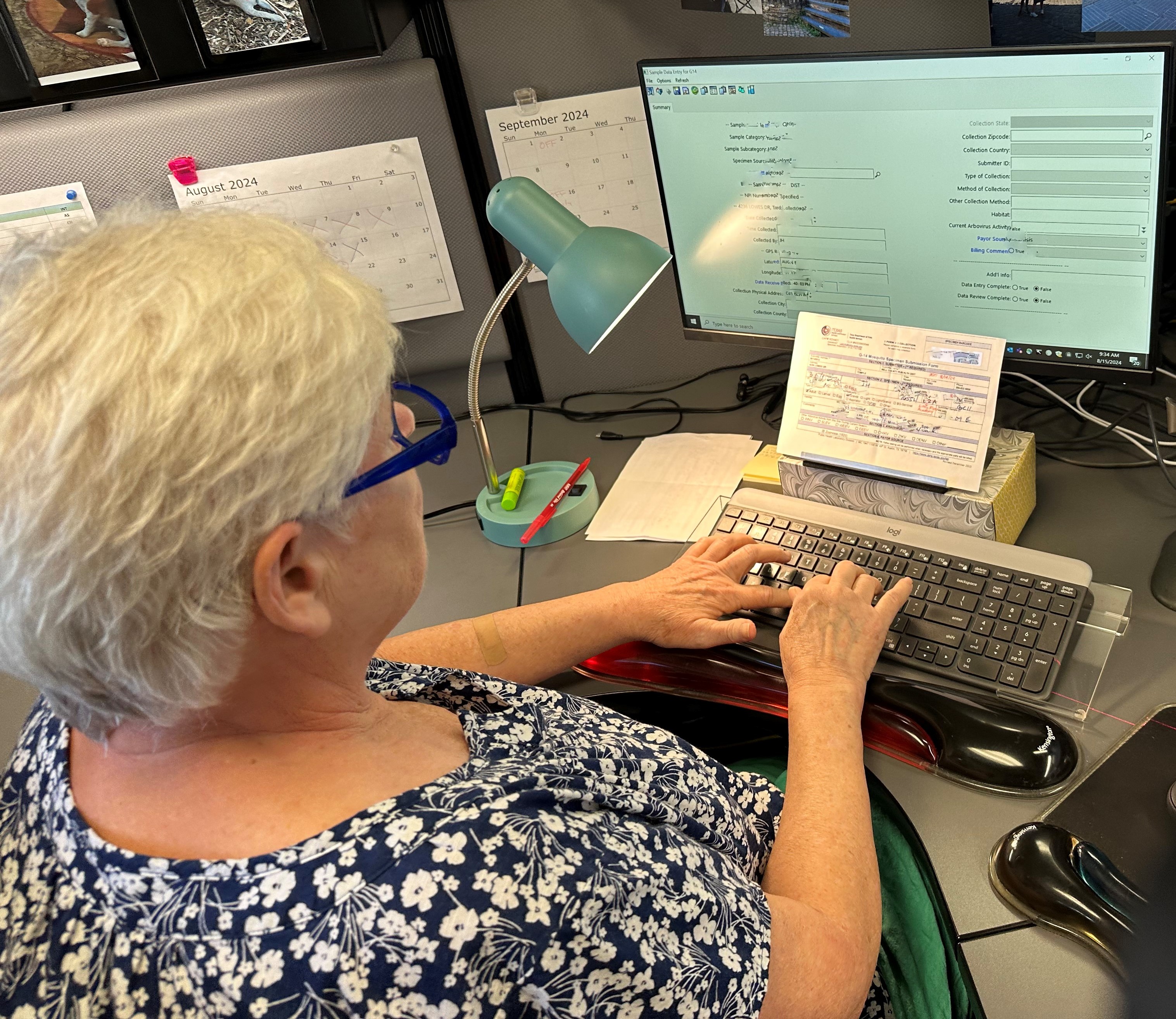Data Entry personnel at computer