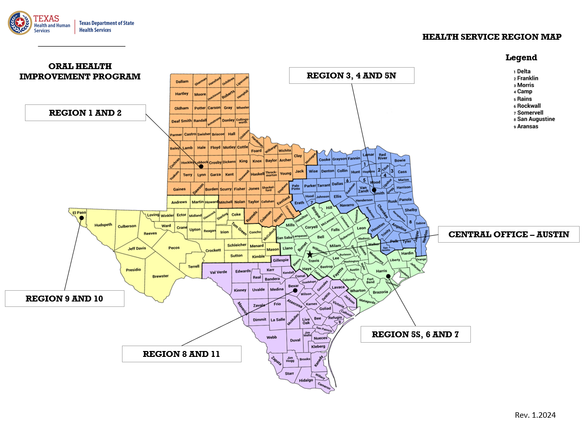 Health Service Region Map of Texas made by DSHS, Oral Health Improvement Program.  Central Office (Austin), Regions 1 and 2 (Texas Panhandle), Regions 3, 4, and 5 North (North and East Texas), Regions 5 South, 6, and 7 (Central Texas), Regions 8 and 11 (South Texas), and Regions 9 and 10 (West Texas) labeled on colored map. Revised 2024.