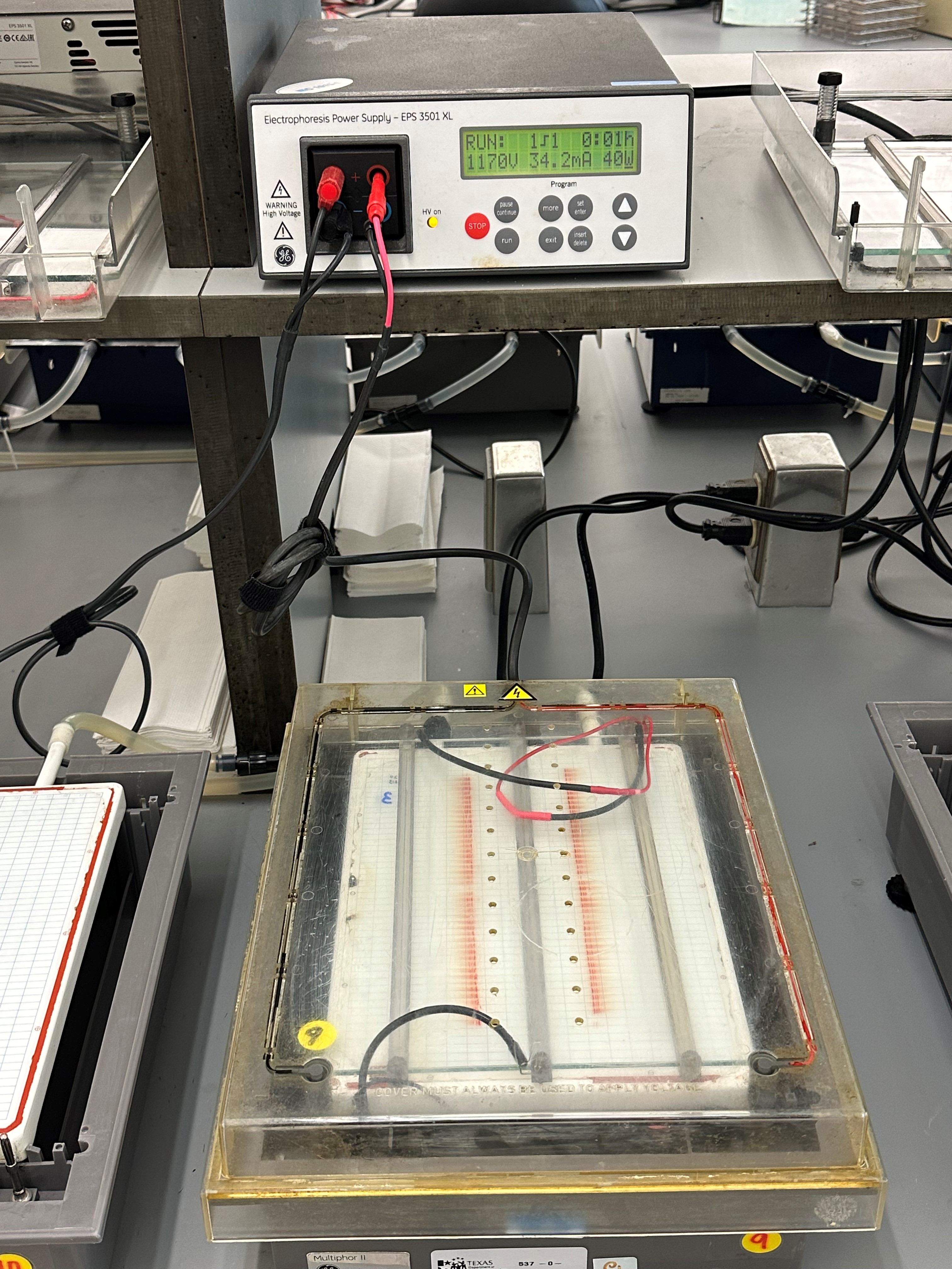 Hemoglobin gel on instrument 