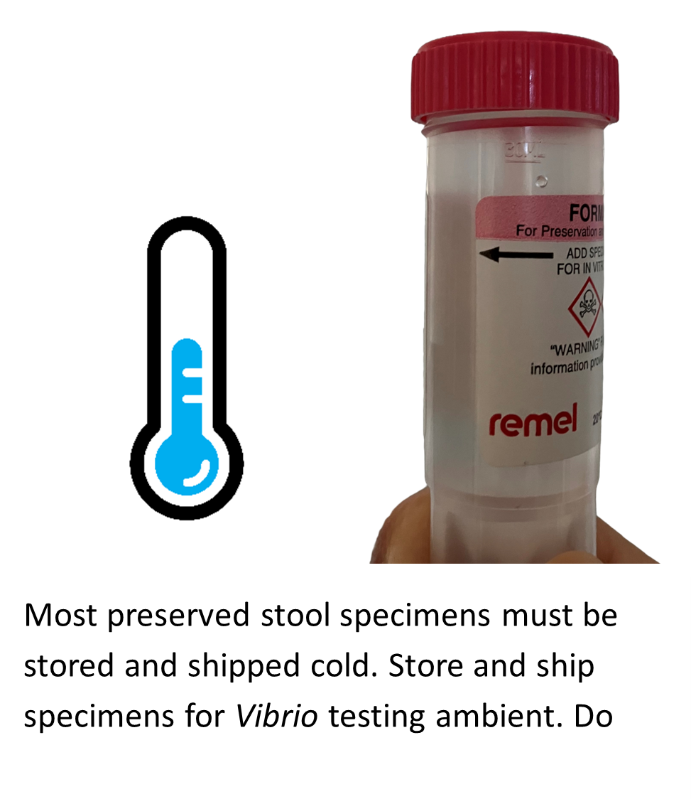 A Cary-Blair stool specimen container with a red twist-off lid.