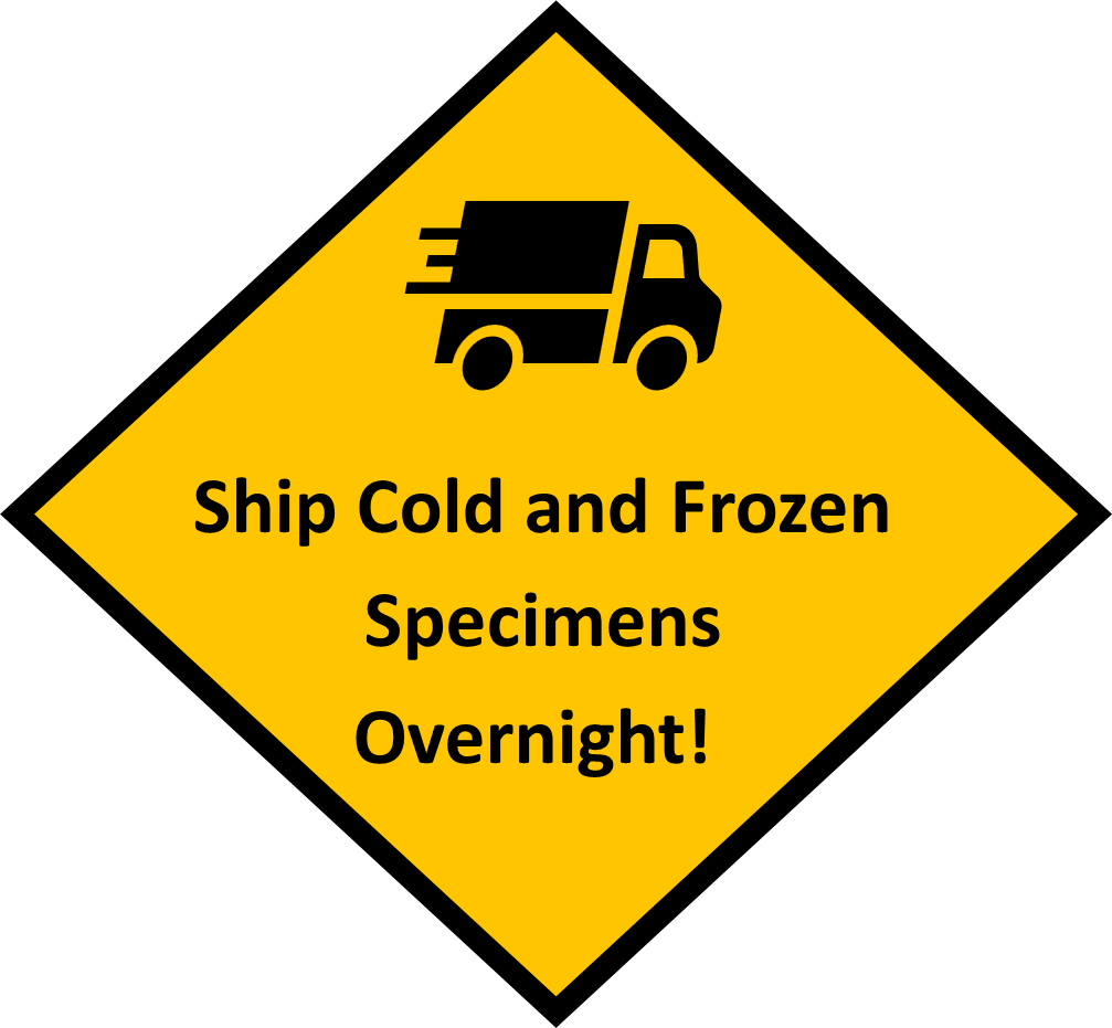 A yellow and black sign, similar to a traffic sign, with a simple line drawing of a truck. Below the truck is written