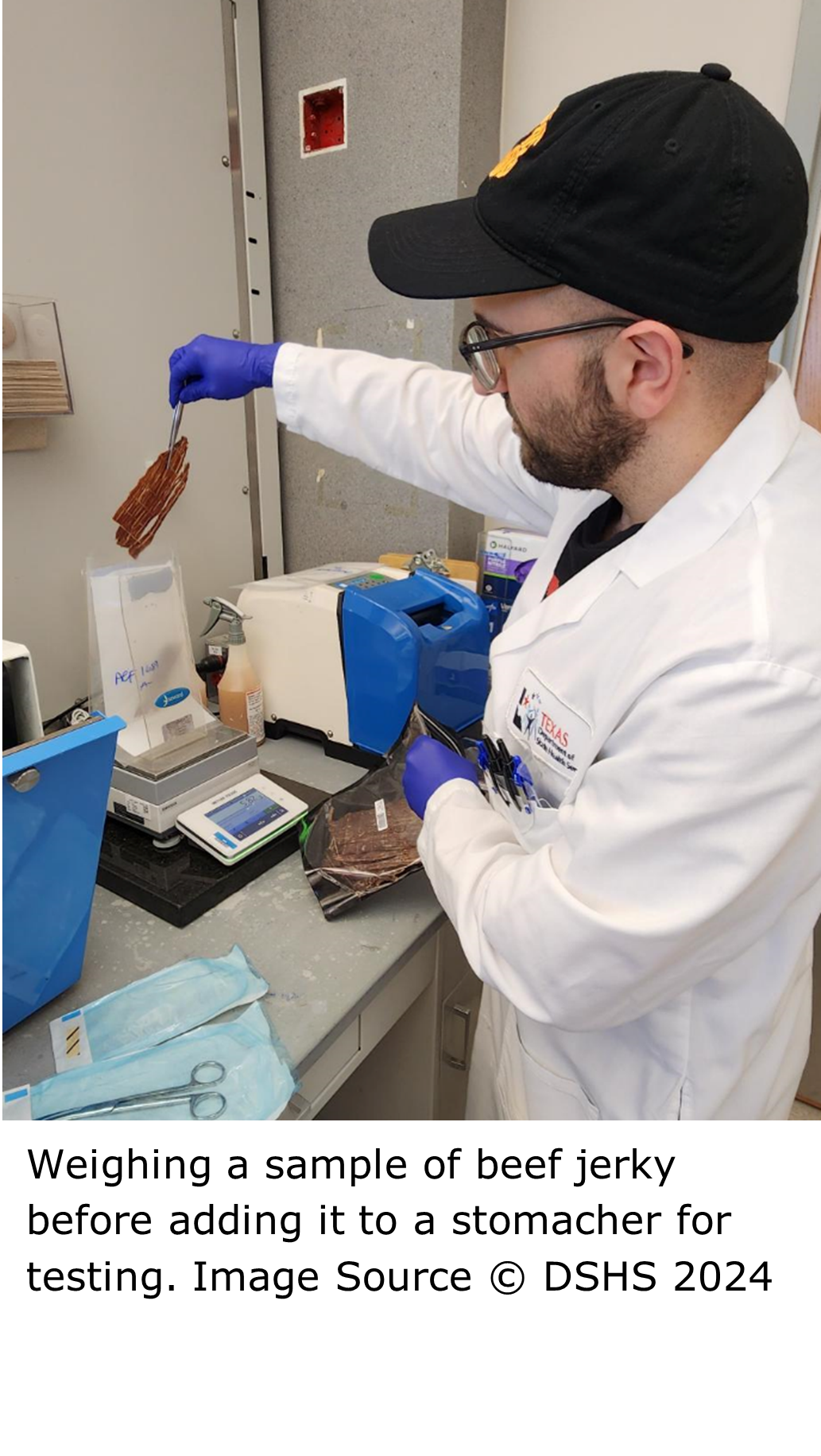 A person in a lab coat and hat holding a sample of jerky with a tweezers. Person is placing the jerky on an electronic weighing scale.