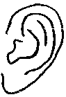 ear