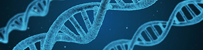 DNA double-helix strand.