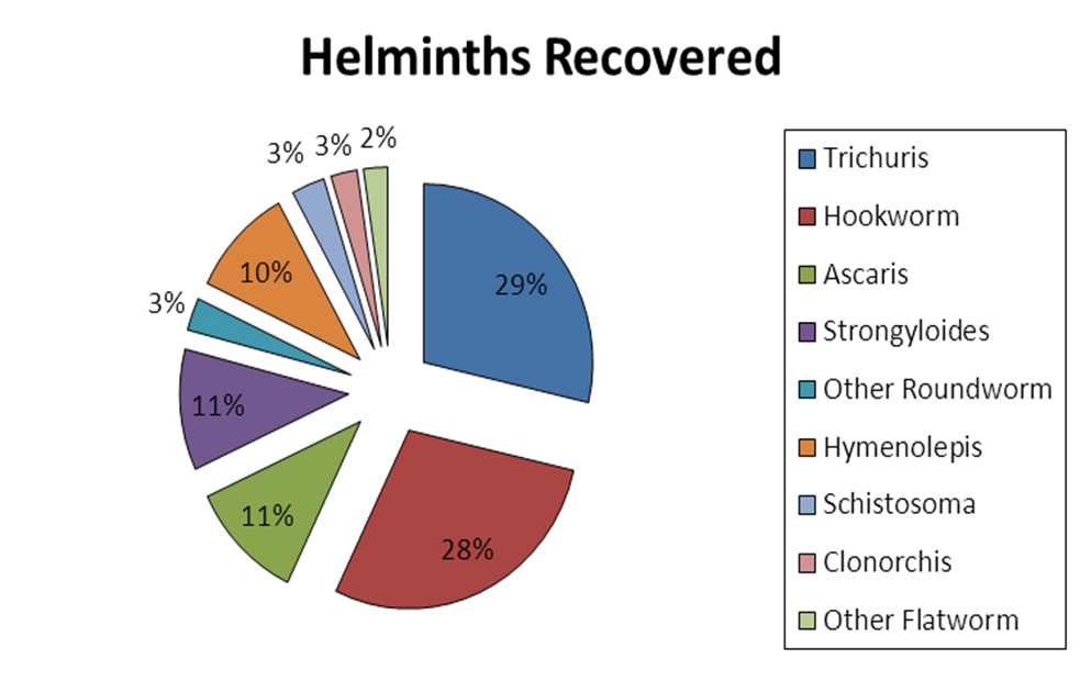 Pie chart illustrating Helmaniths recovered
