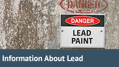 Information about Lead